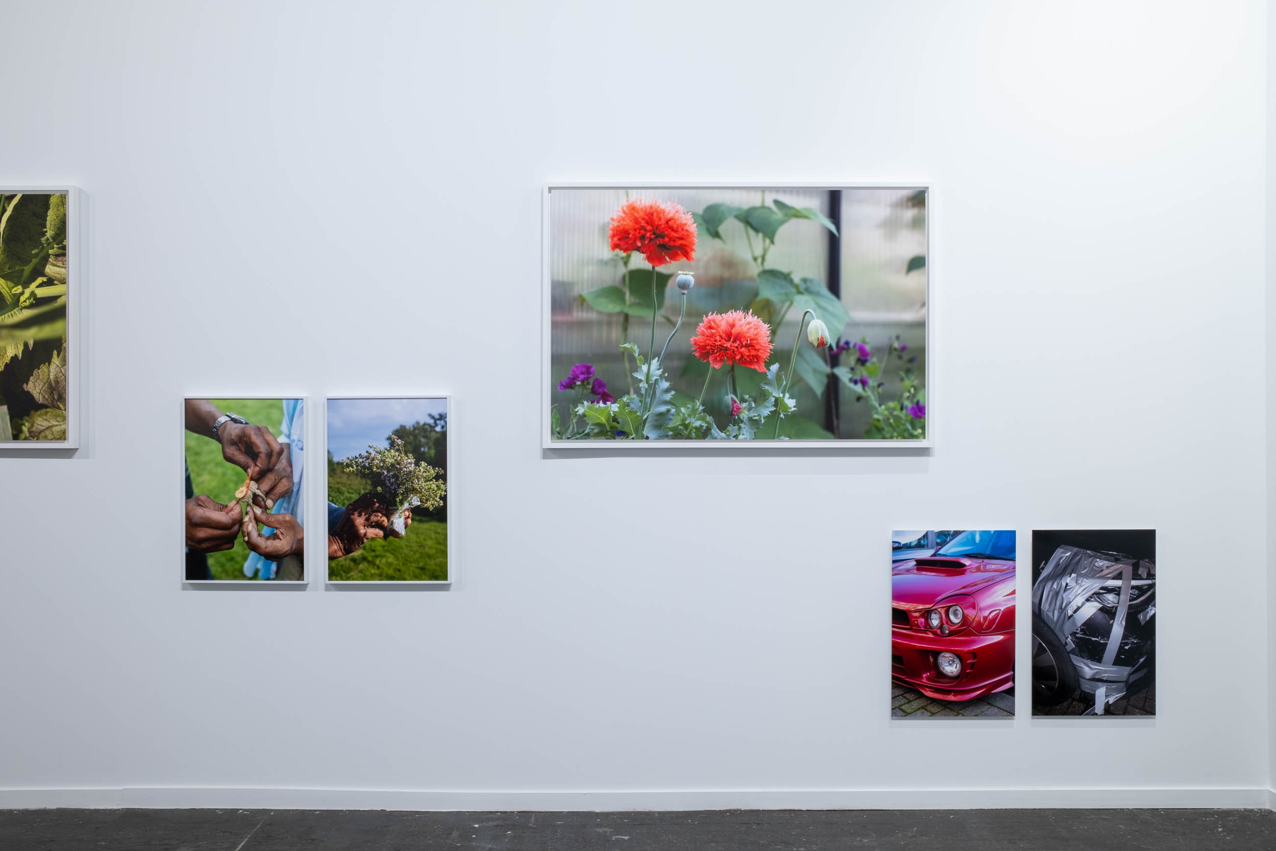 joey ramone arco madrid 2025