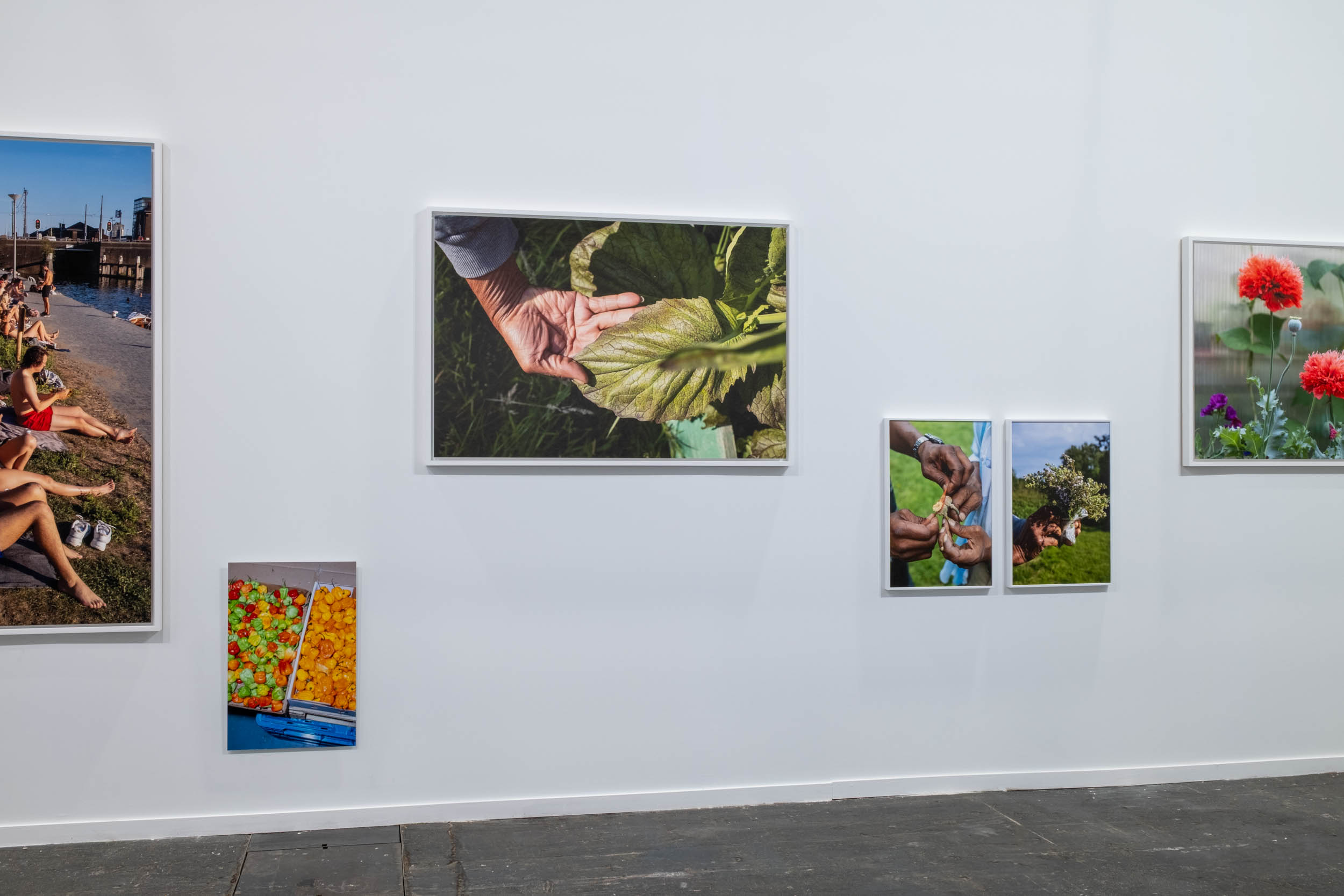 joey ramone arco madrid 2025