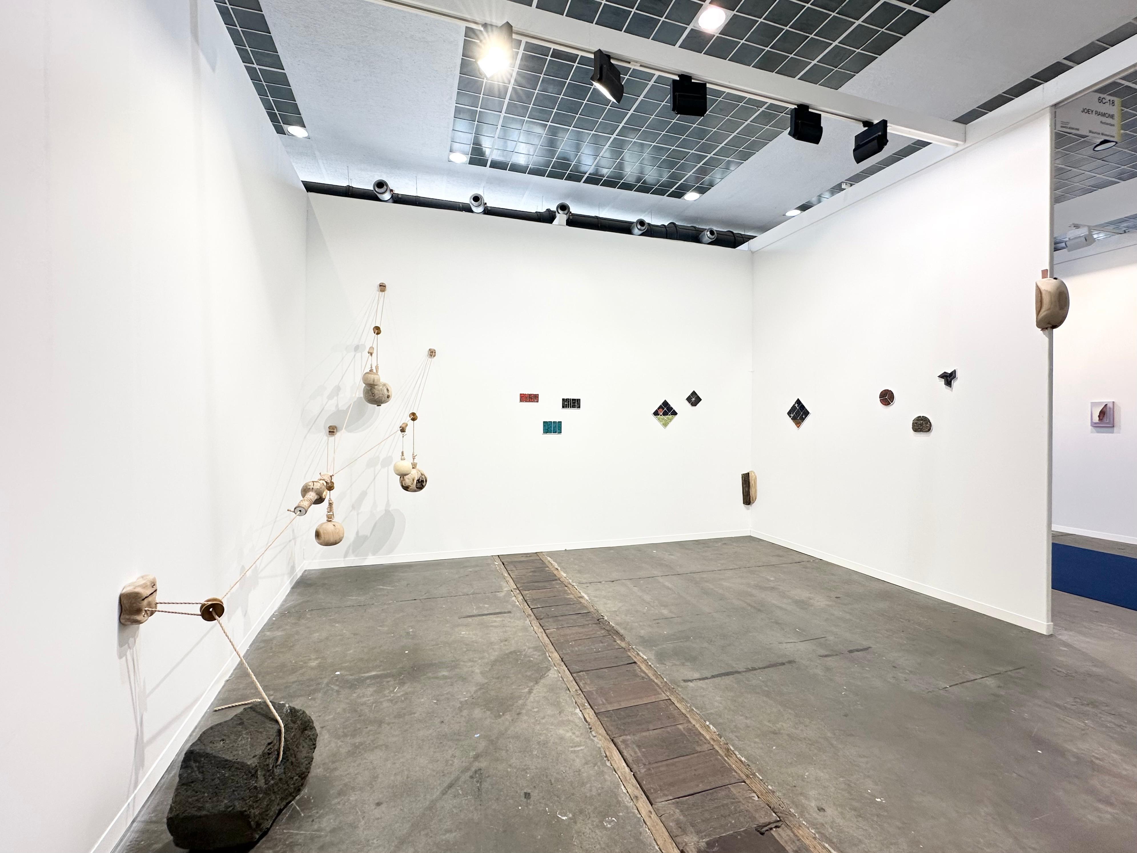 joey_ramone_maurice_meewisse_art_brussels_2025_