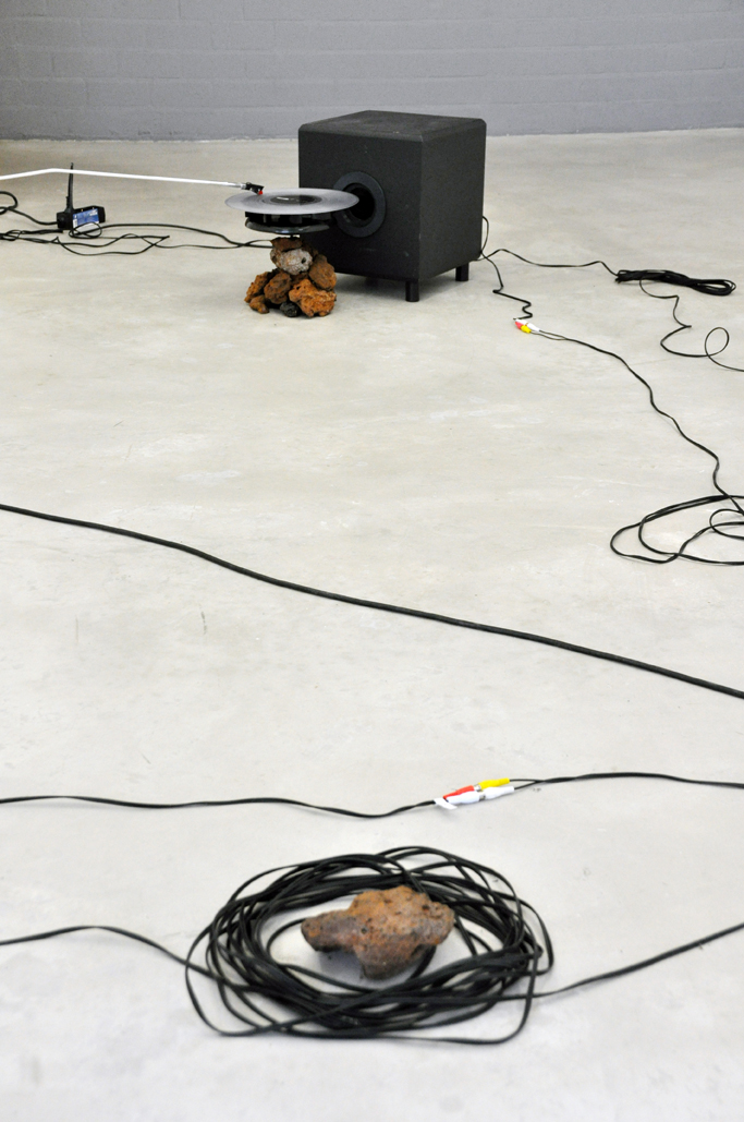 joey ramone domas van wijk