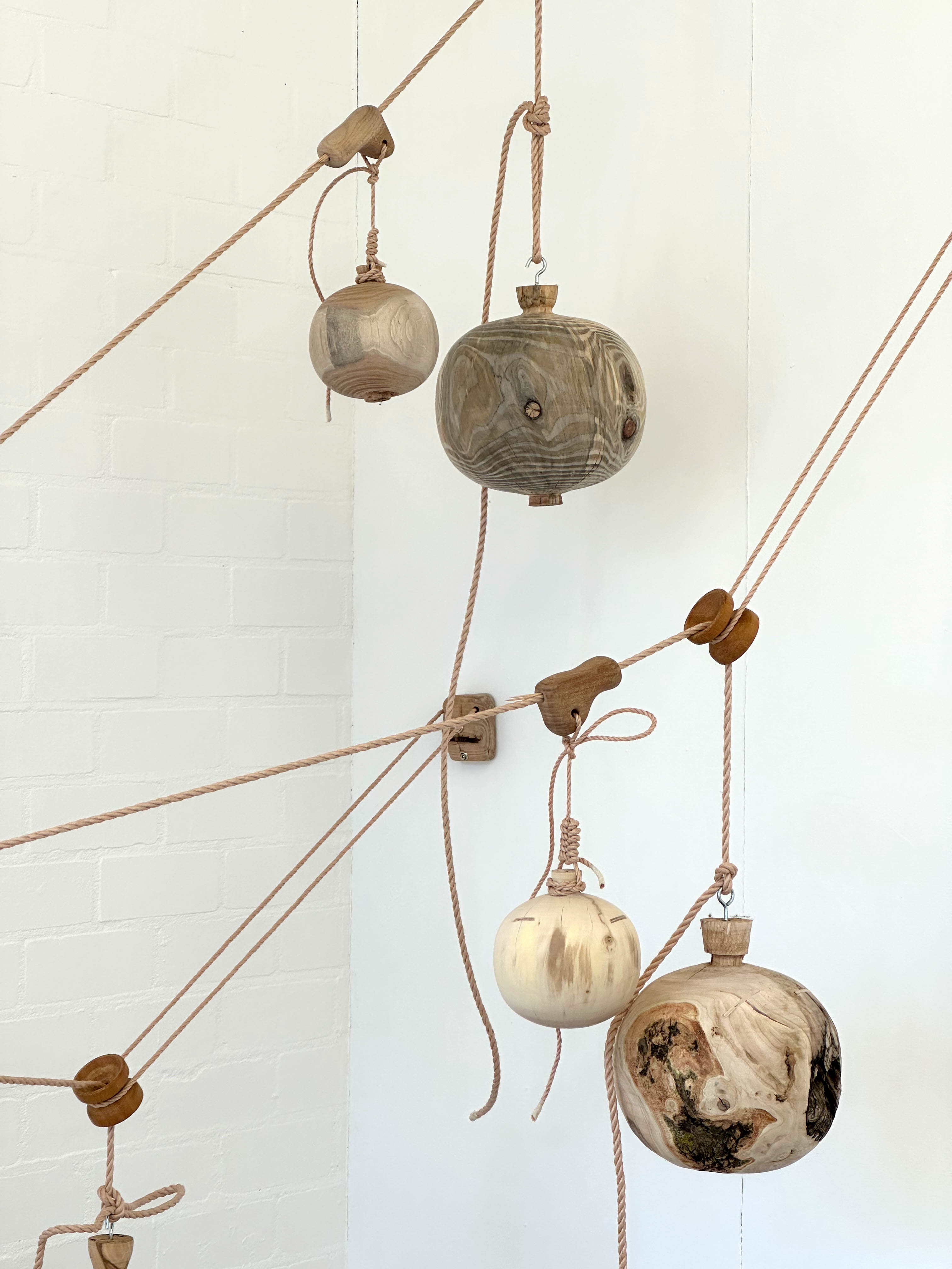 joey ramone maurice meewisse