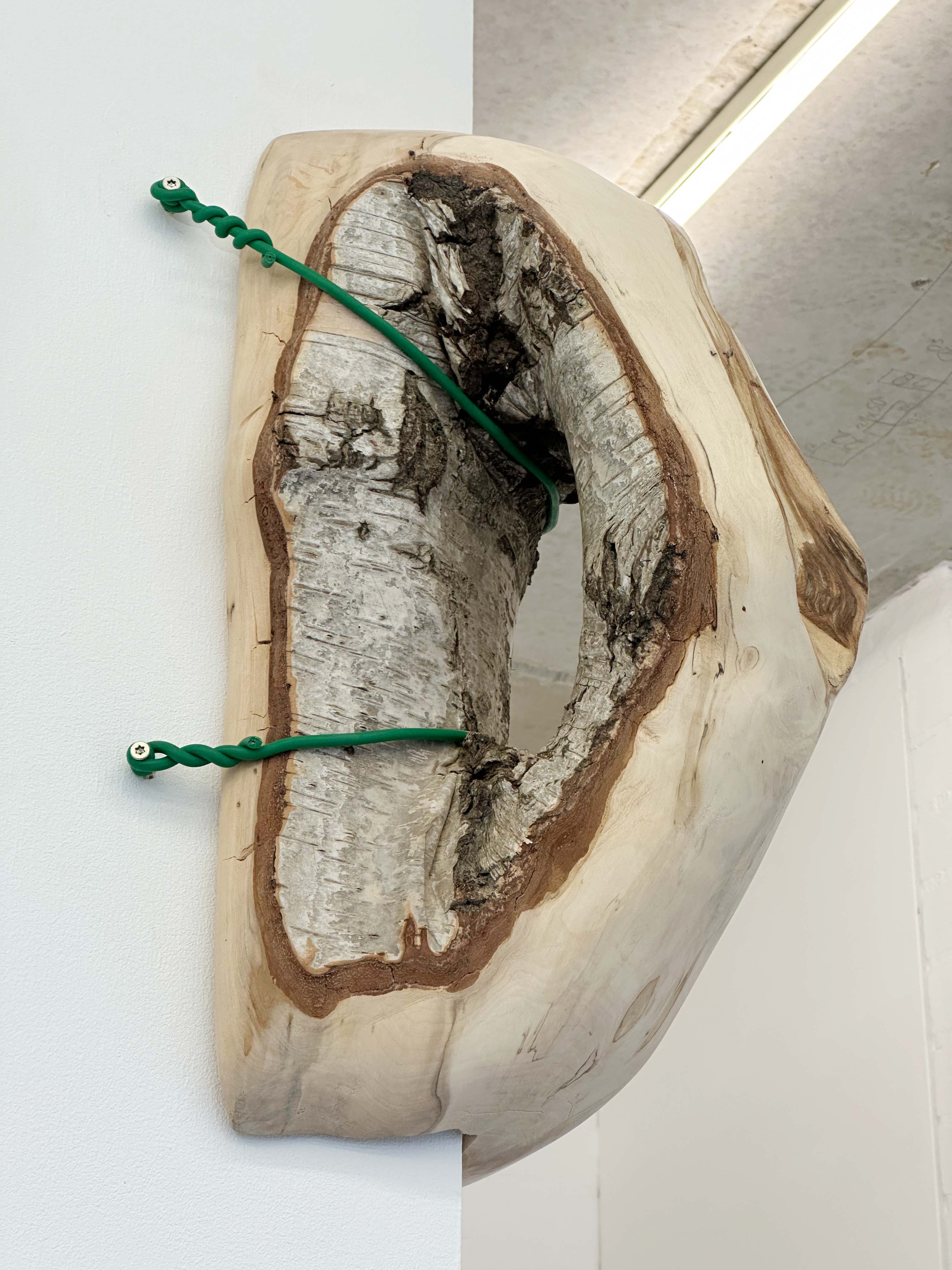 joey ramone maurice meewisse