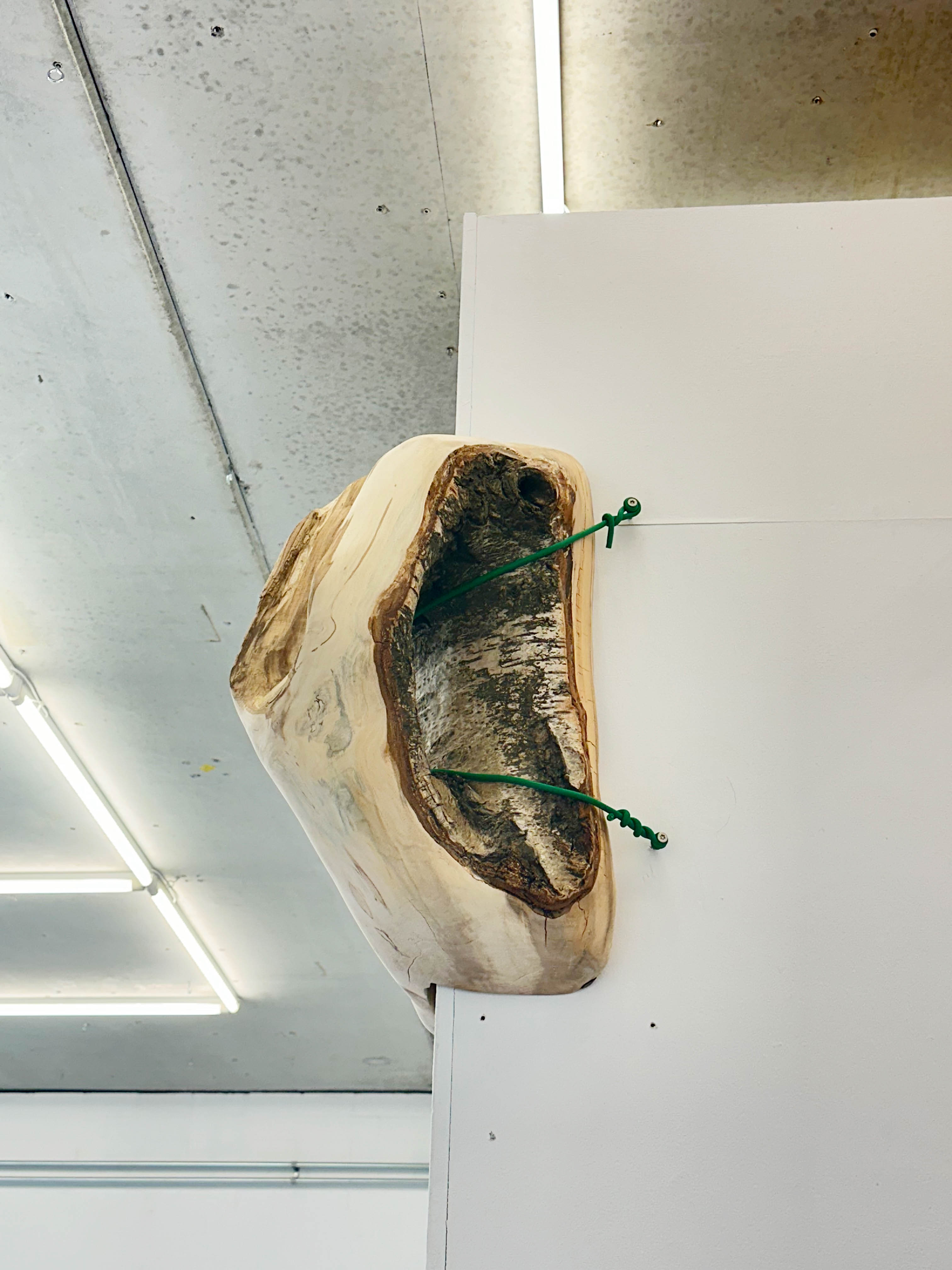 joey ramone maurice meewisse