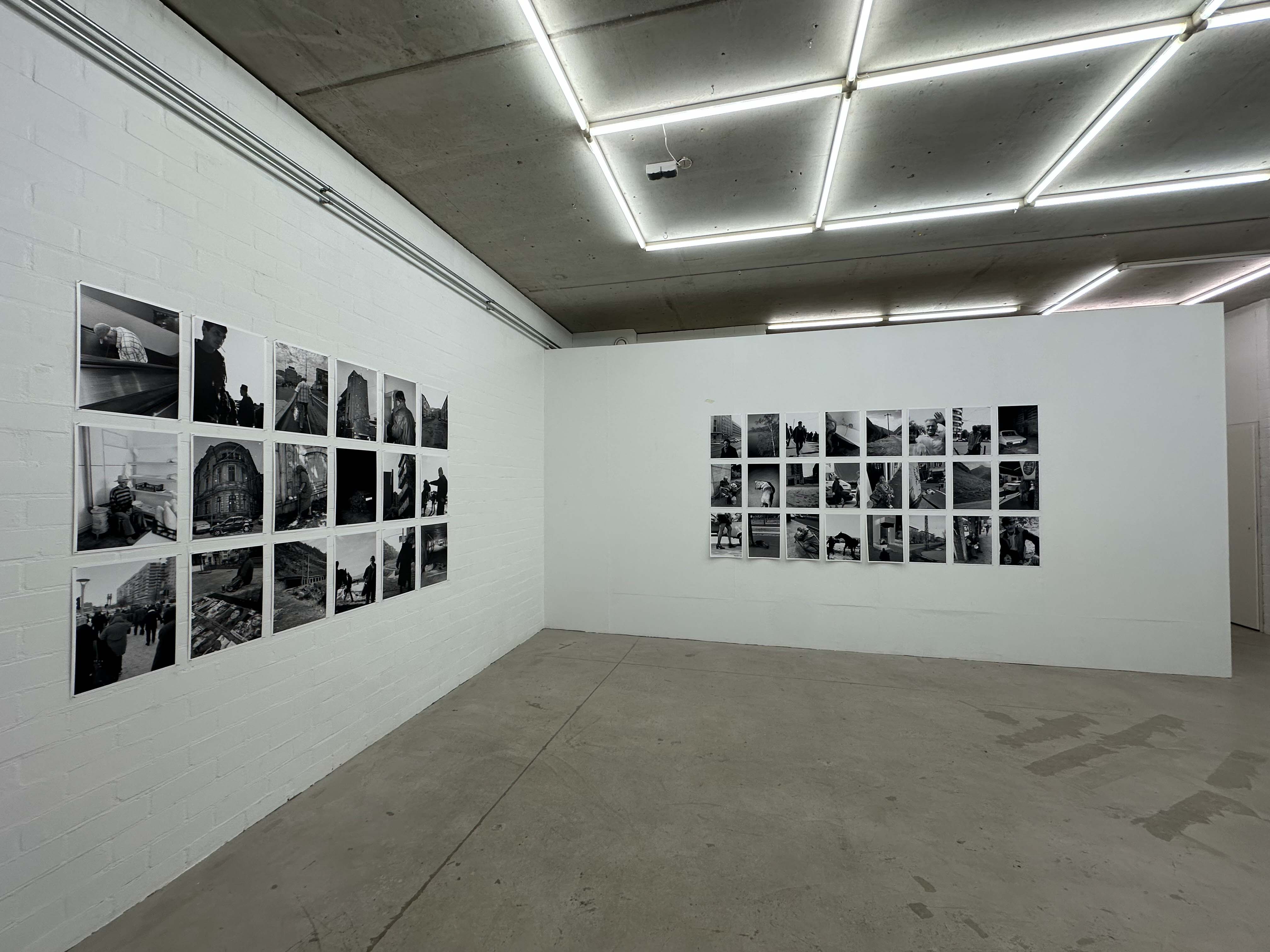 joey ramone tudor bratu