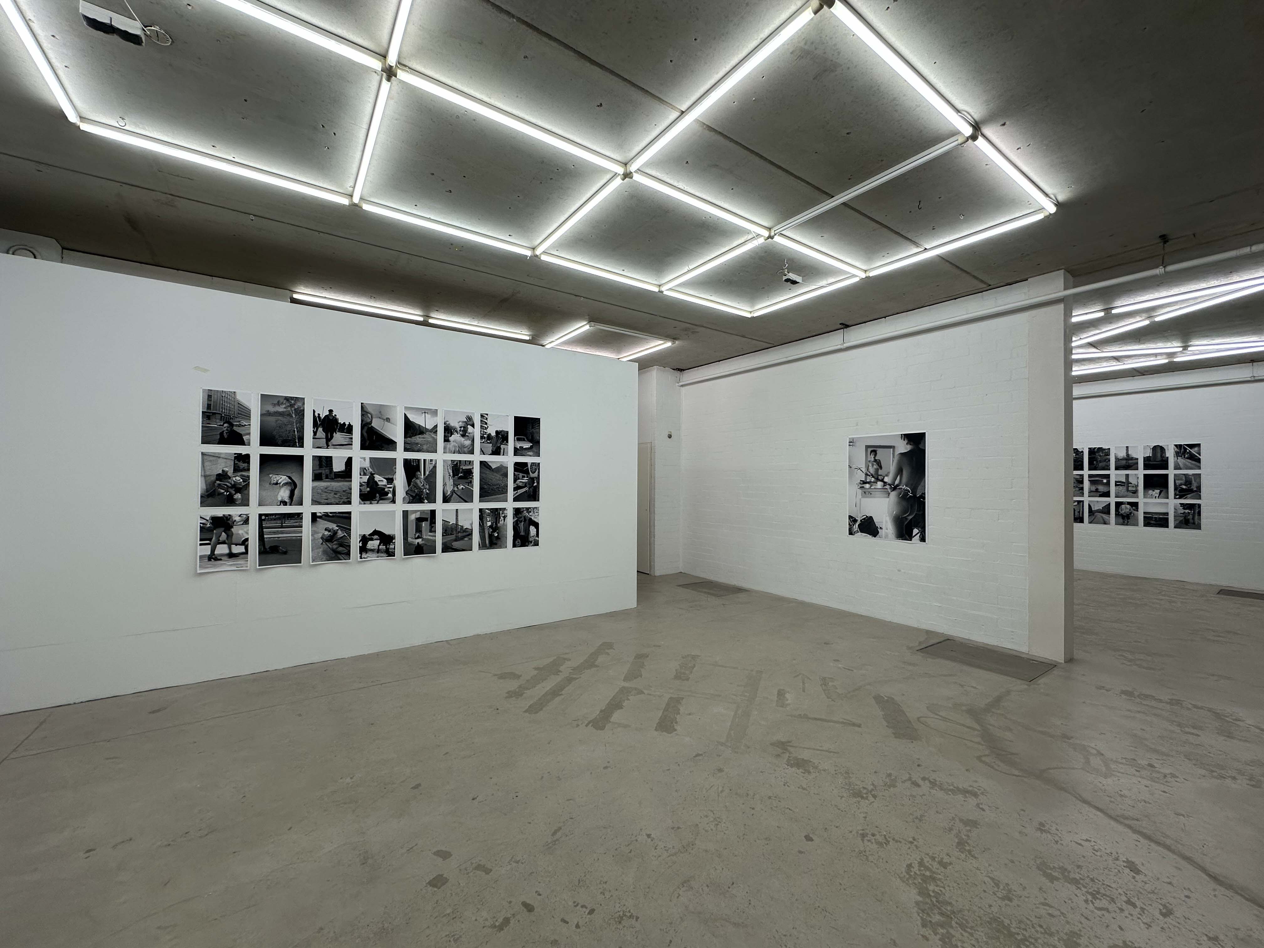 joey ramone tudor bratu