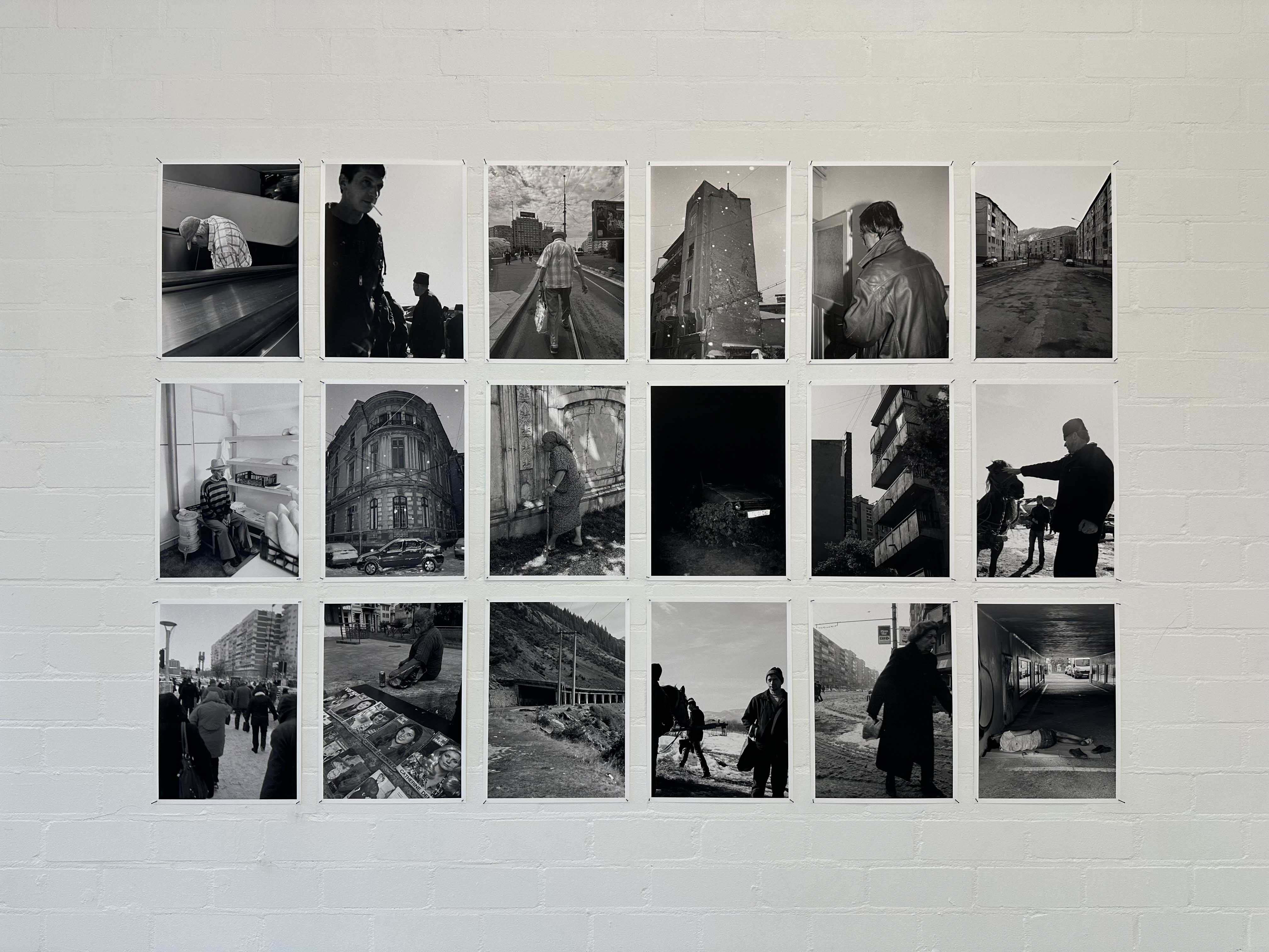 joey ramone tudor bratu