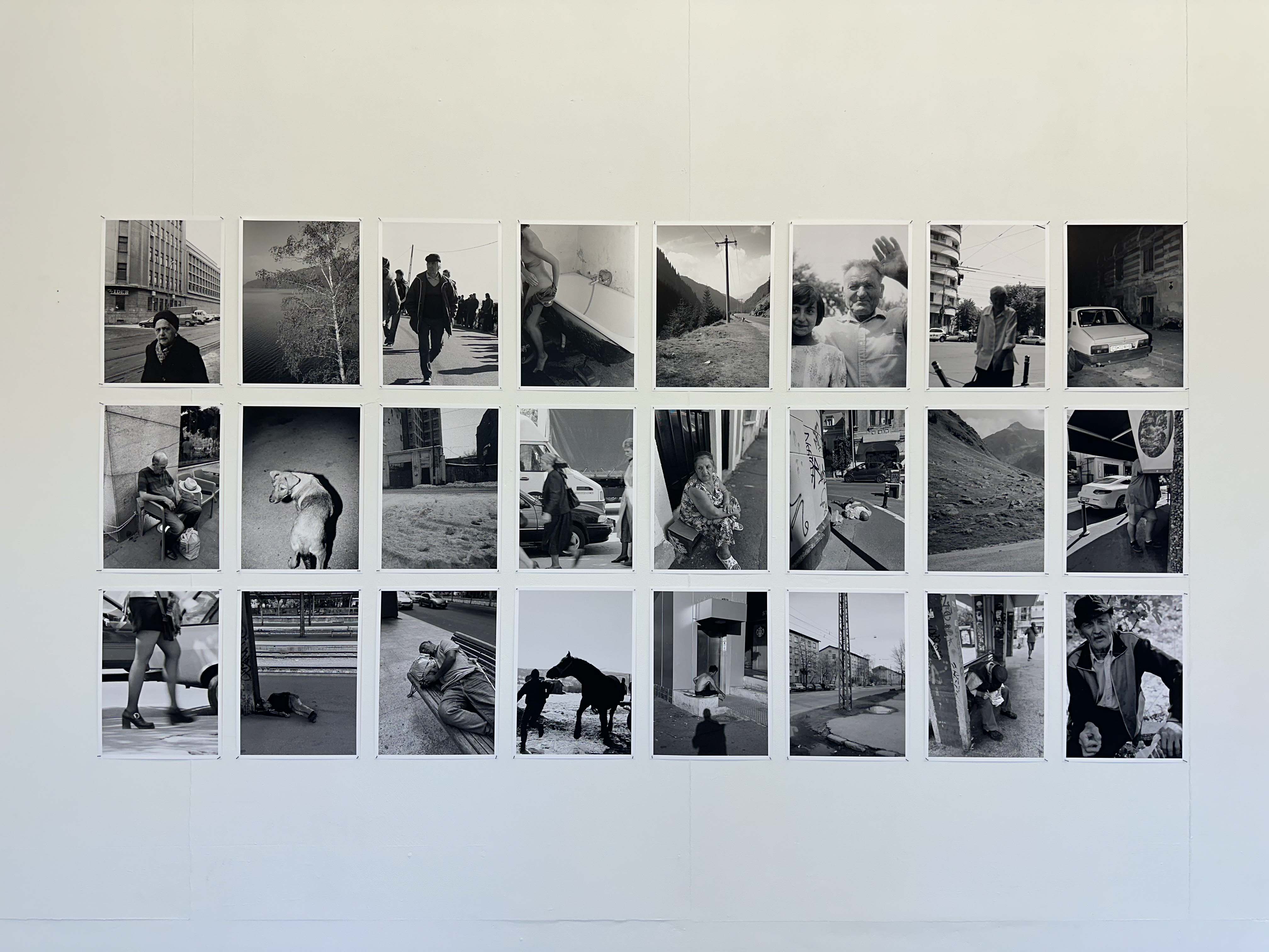 joey ramone tudor bratu