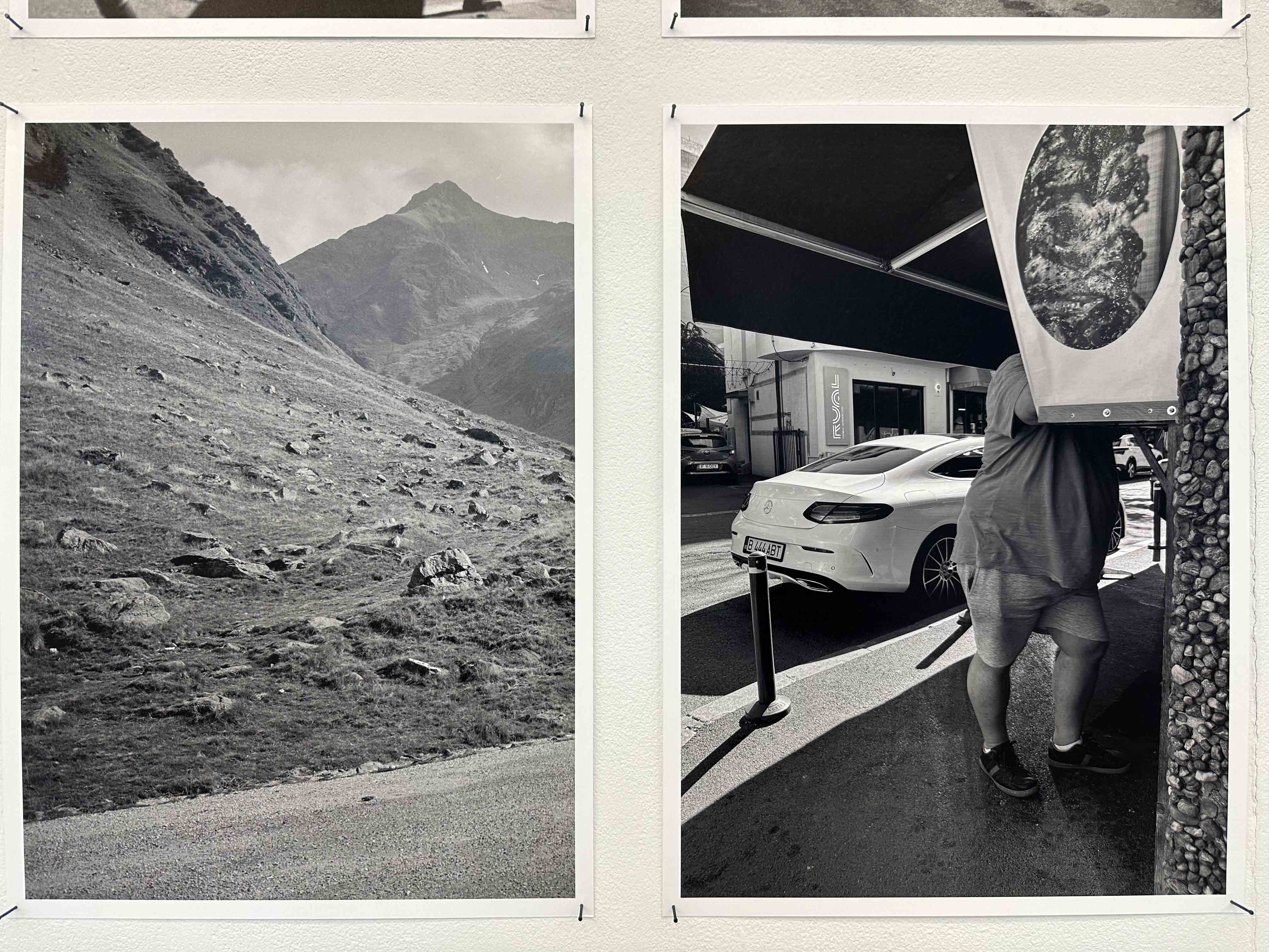 joey ramone tudor bratu