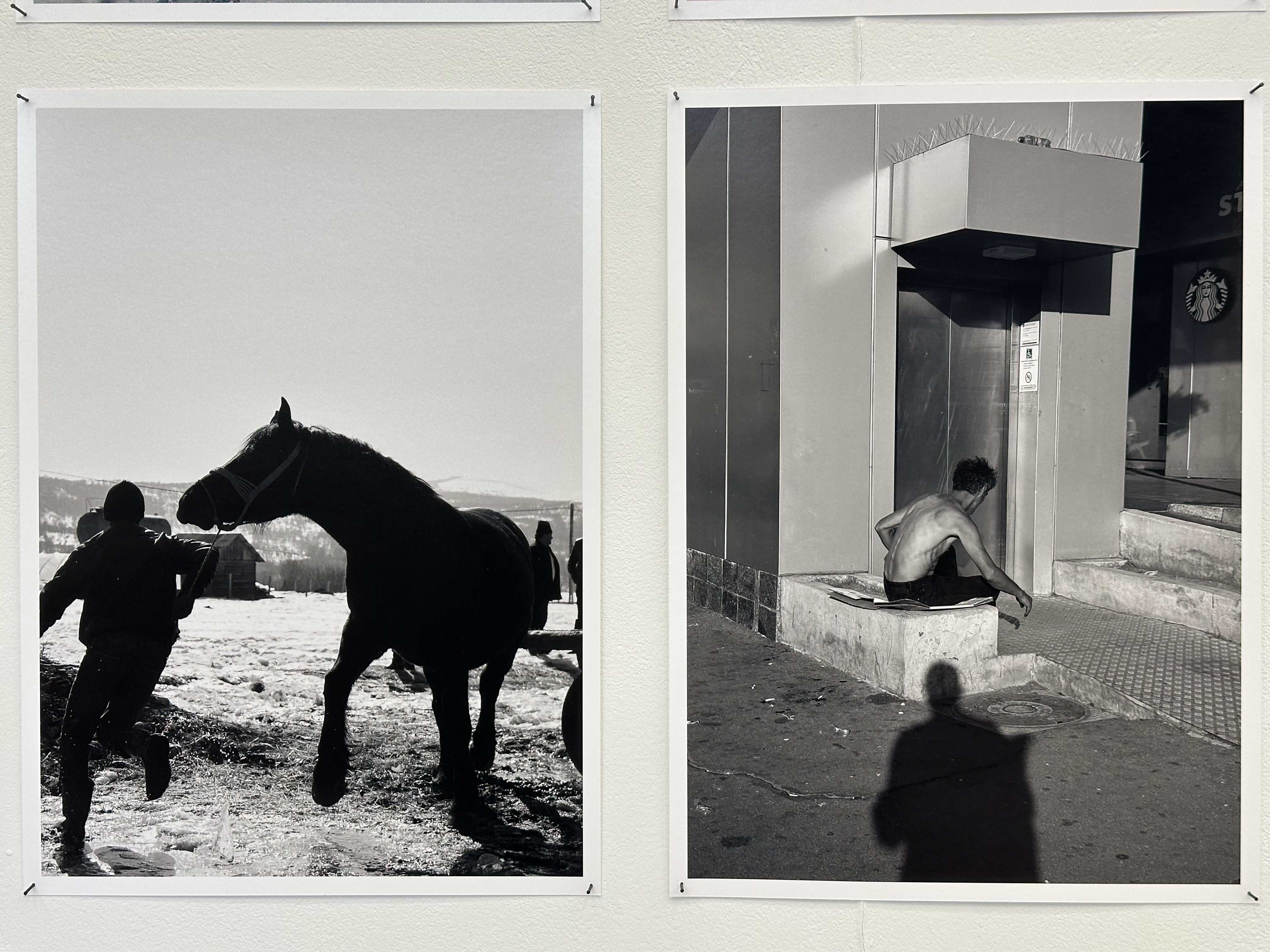 joey ramone tudor bratu