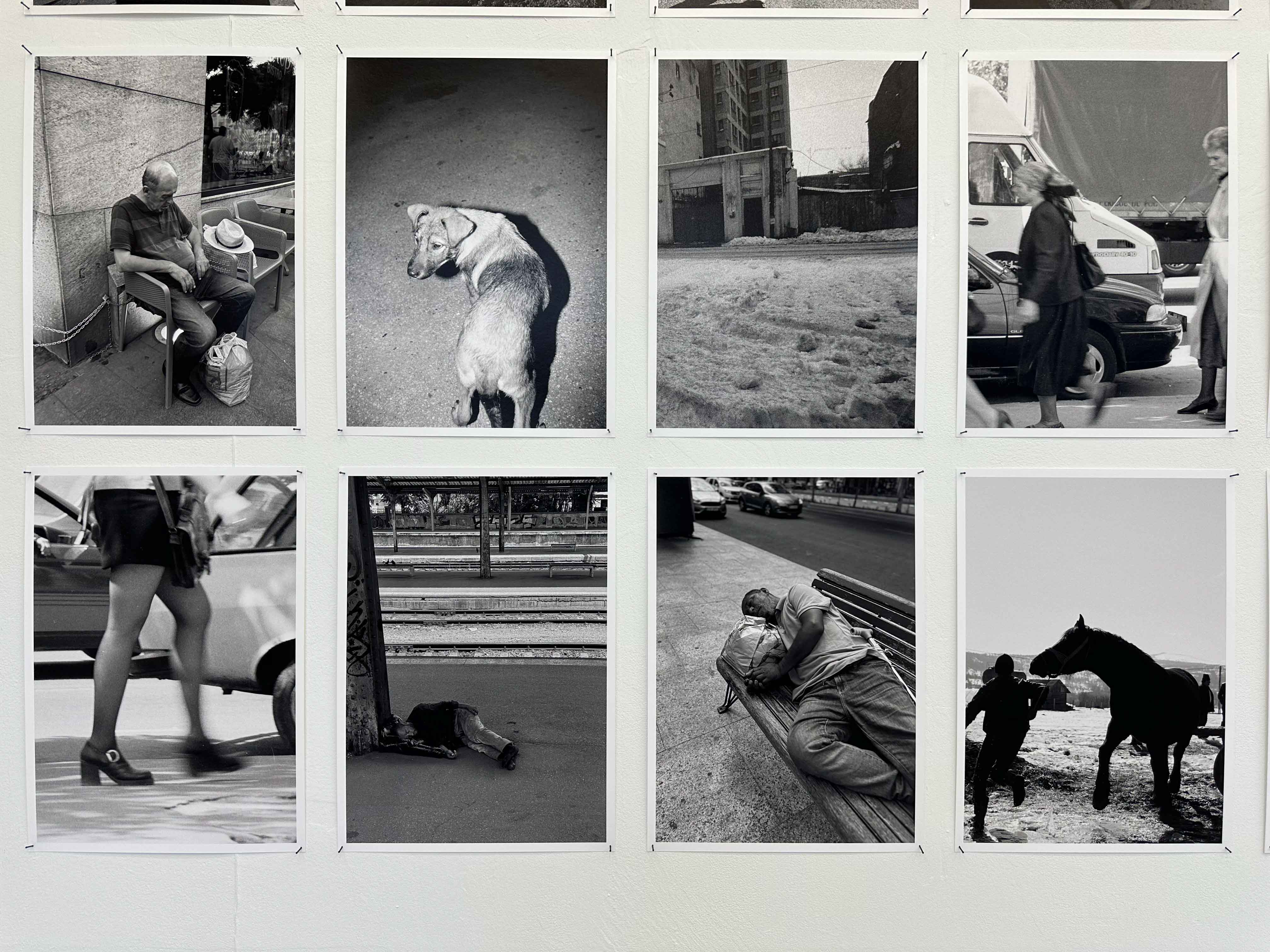 joey ramone tudor bratu