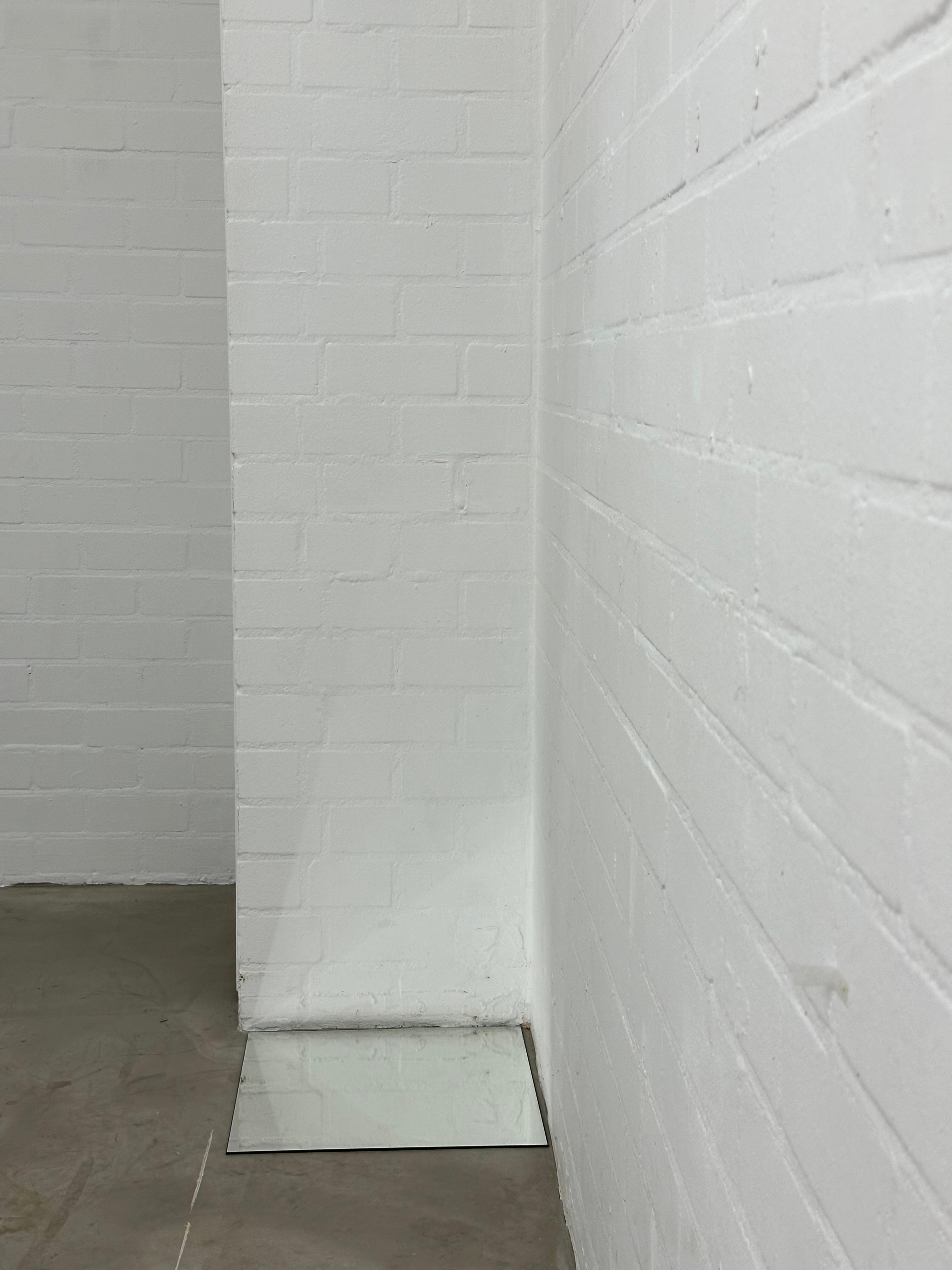 joey ramone living forms