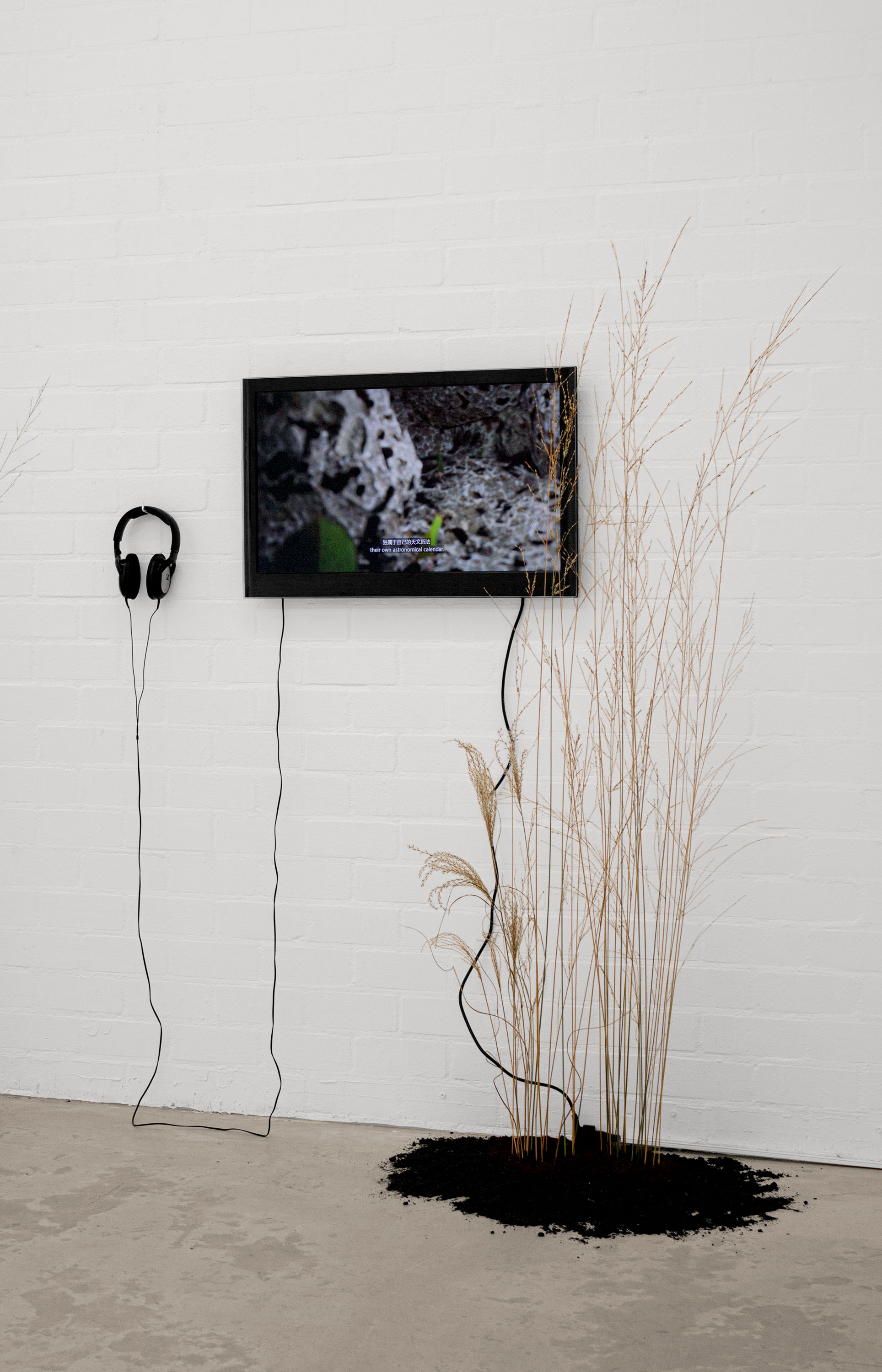 01 gallery @ joeyramone