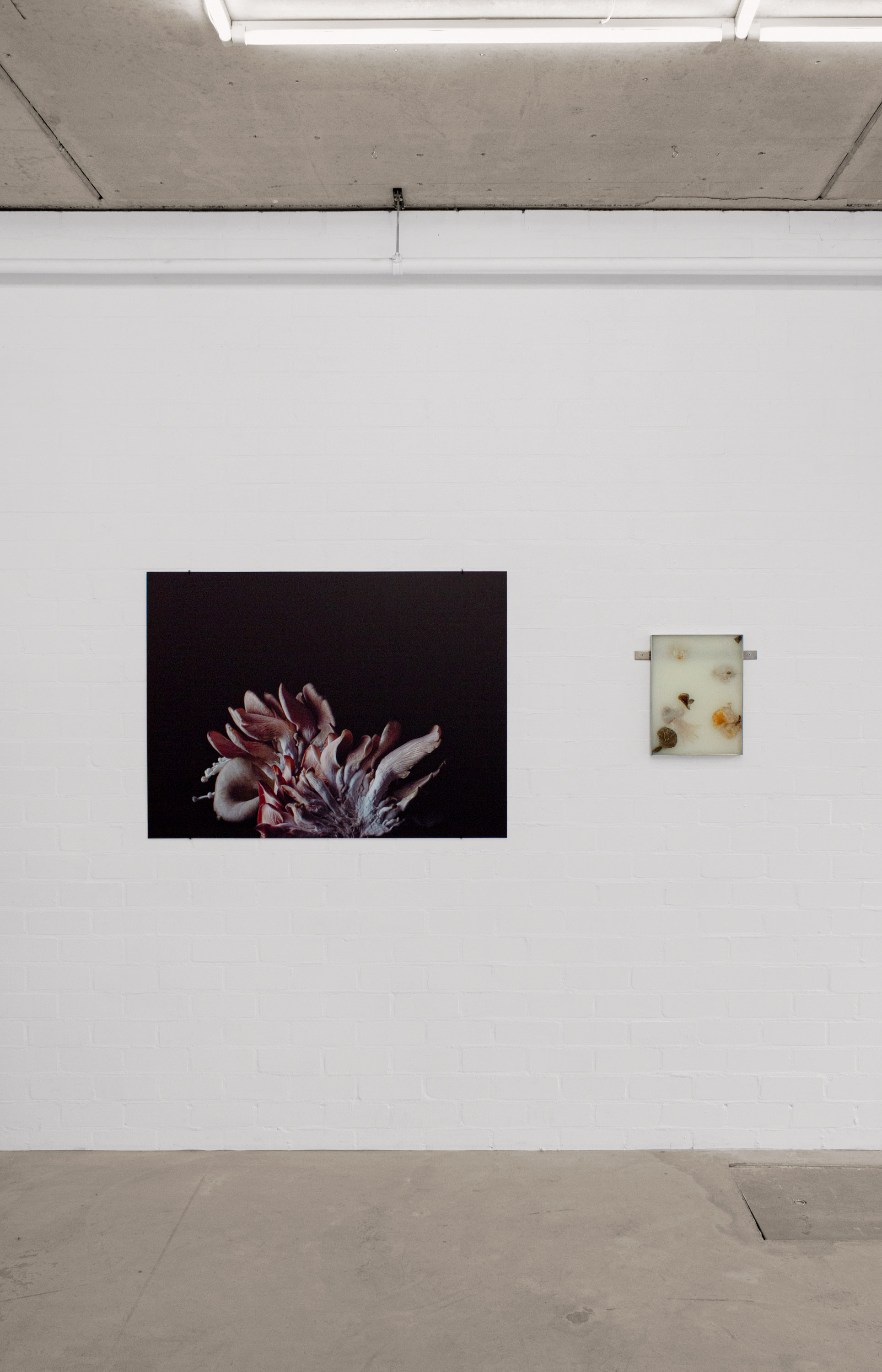 01 gallery @ joeyramone