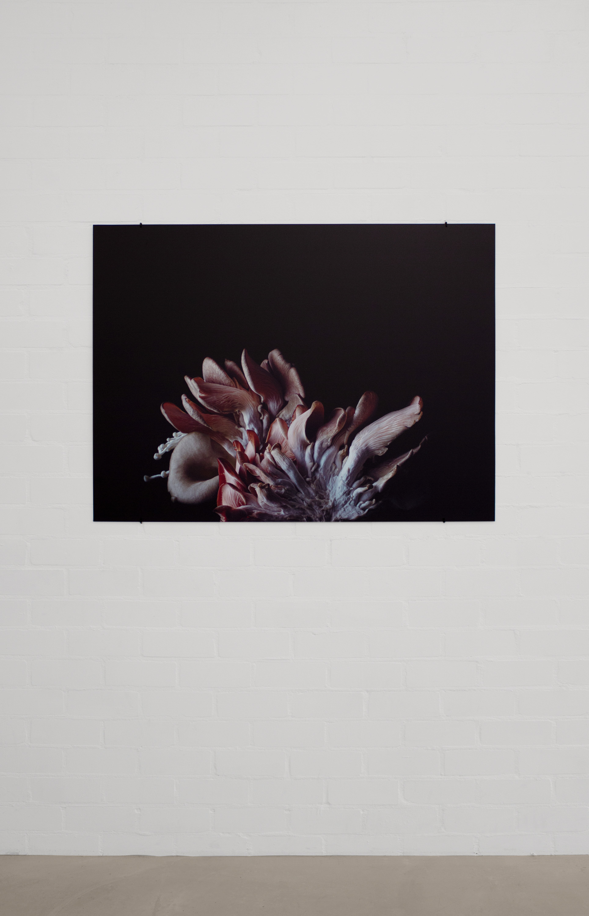 01 gallery @ joeyramone