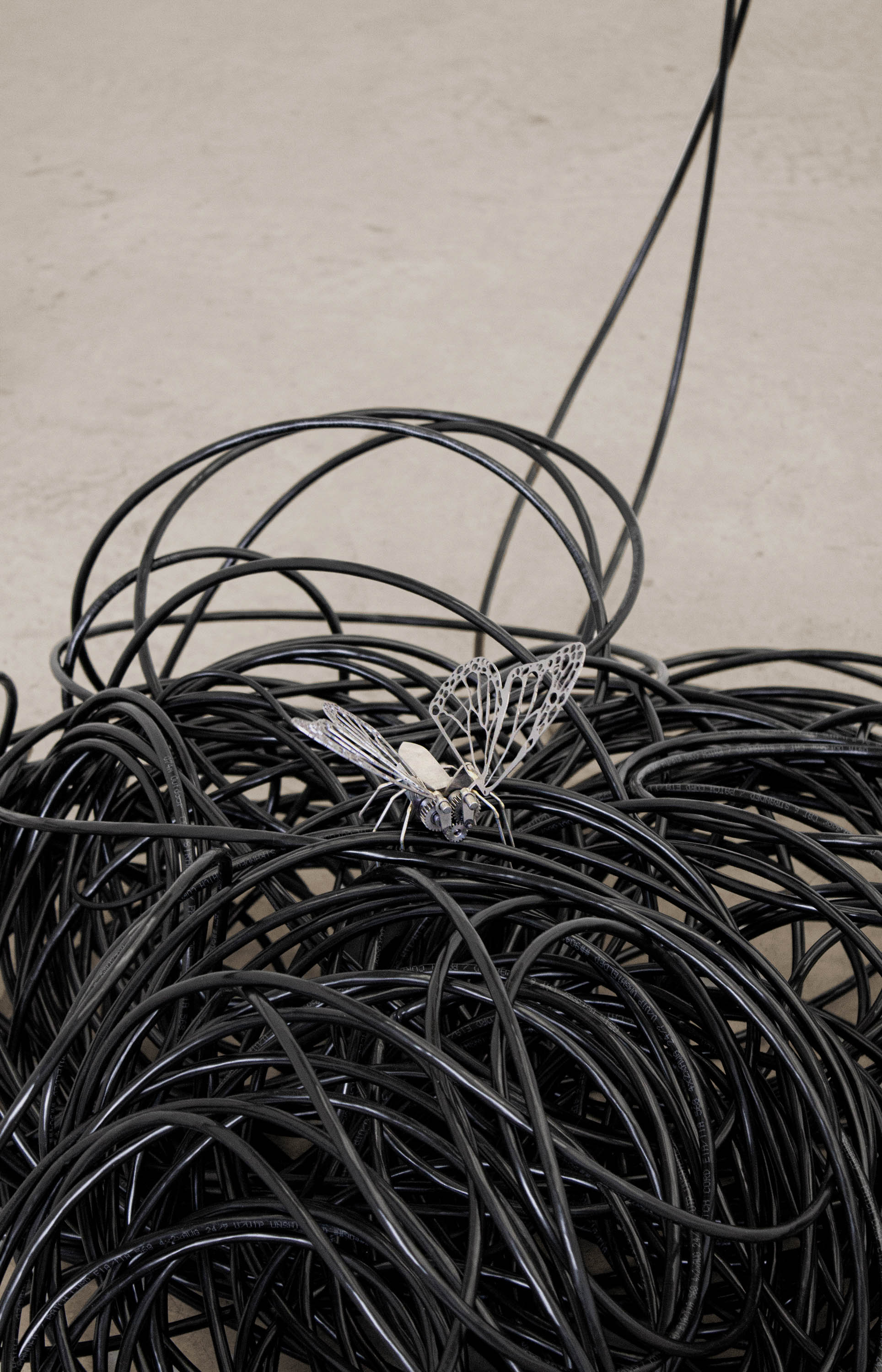 01 gallery @ joeyramone