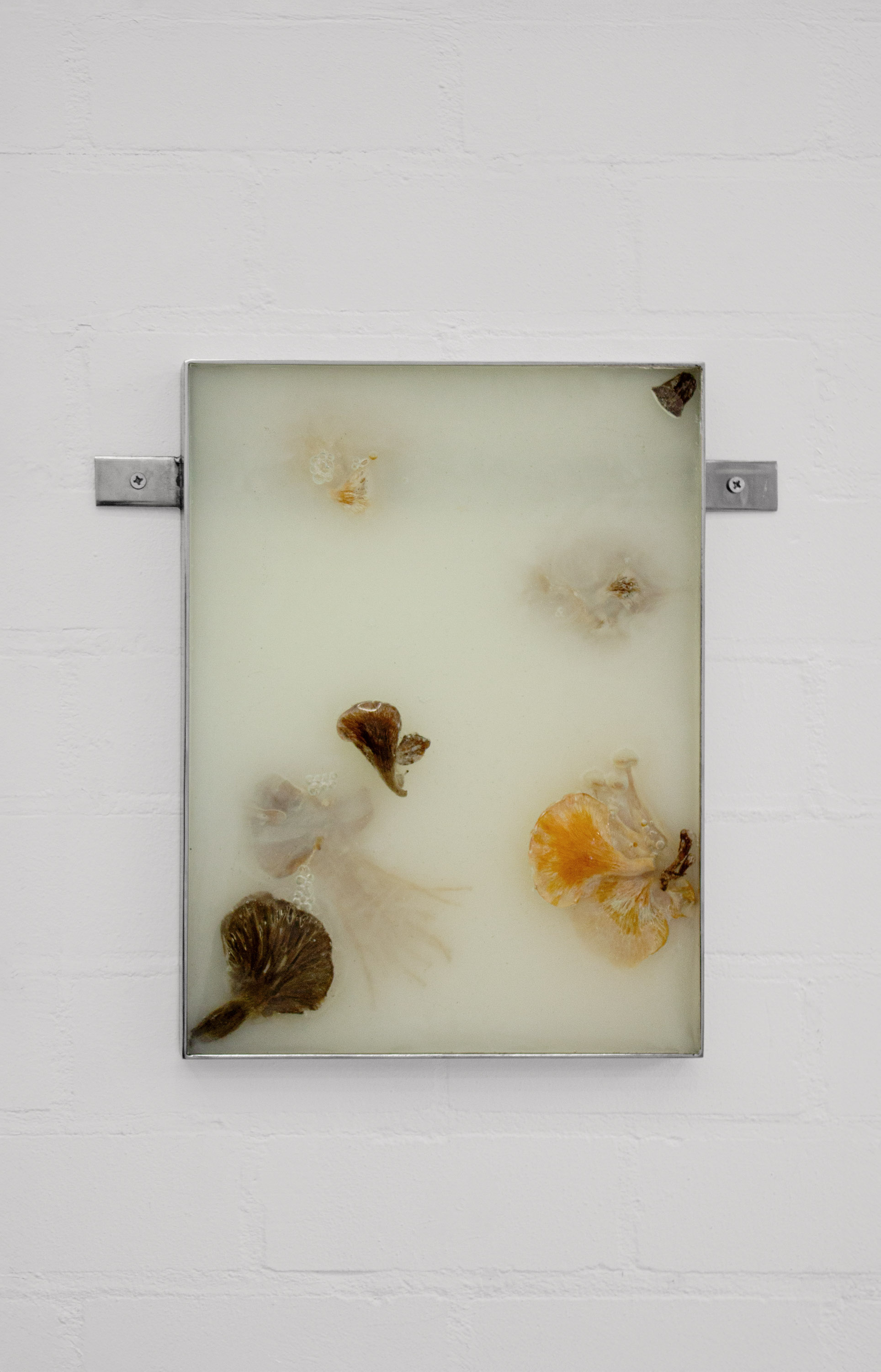 01 gallery @ joeyramone